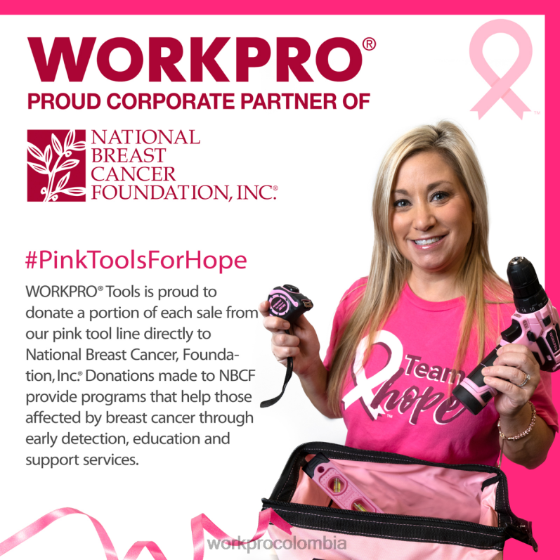 WORKPRO Bolsa de herramientas de 13 pulgadas, bolsas de almacenamiento de herramientas de tela suave JP02P29 almacenamiento rosa