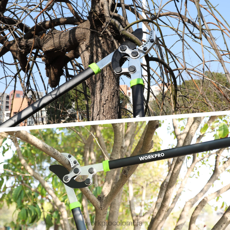 WORKPRO Podadora de yunque, cortadora de ramas de 32 pulgadas con acción compuesta, podadora de árboles de jardín de alta resistencia JP02P282 herramienta moderno