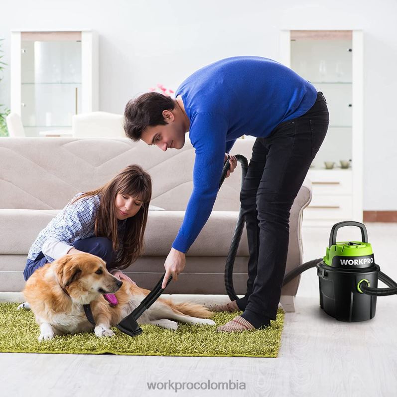 WORKPRO Aspiradora húmeda/seca de 2,5 galones y 3 caballos de fuerza máxima, aspiradora portátil para el hogar JP02P216 herramienta útil