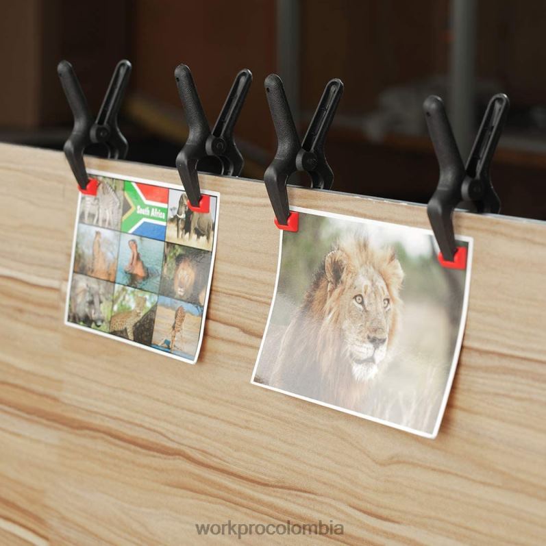 WORKPRO Juego de abrazaderas de resorte de nailon de 16 piezas para carpintería, estudios de fotografía y trabajos de bricolaje JP02P125 herramienta moderno