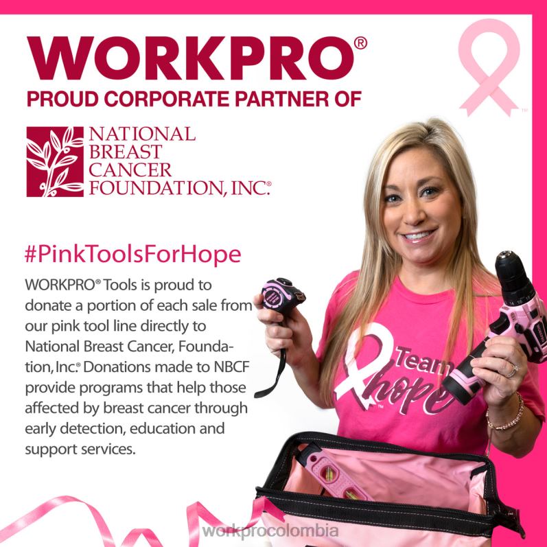 WORKPRO Juego de destornilladores magnéticos de 6 piezas. JP02P244 herramienta rosa