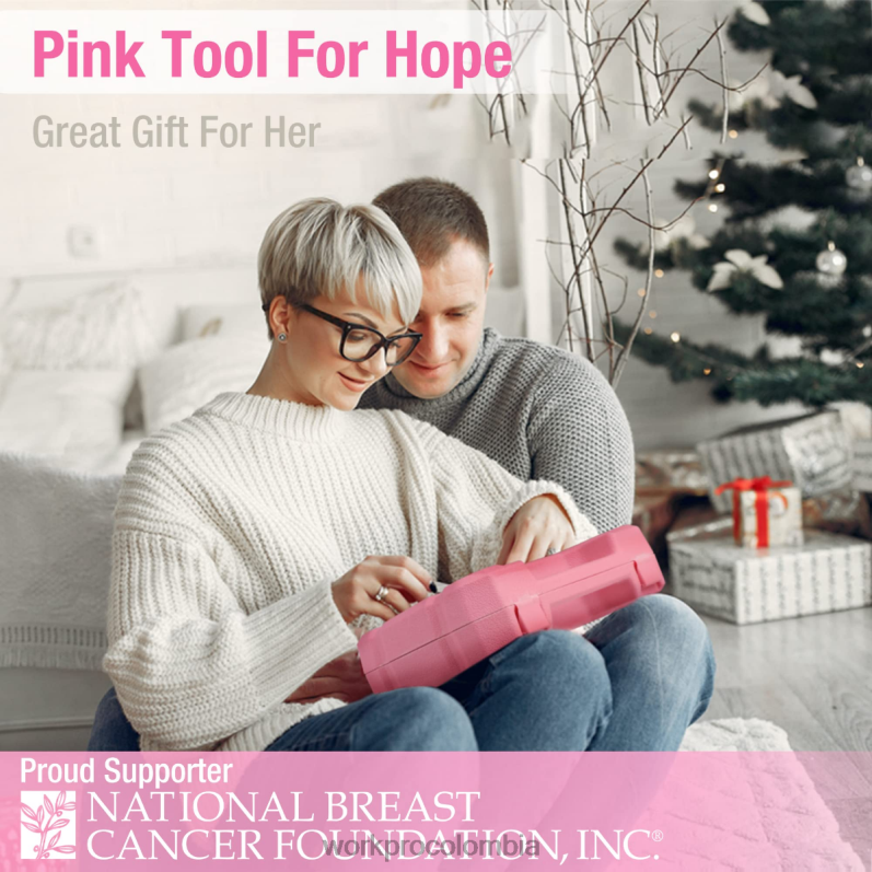 WORKPRO Kit de herramientas para el hogar general de 18 piezas. JP02P102 herramienta rosado azul